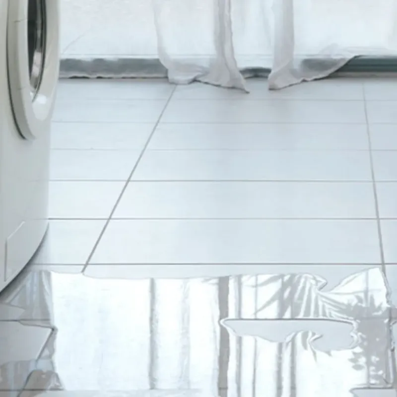 Appliance Leak Cleanup in Andover, FL