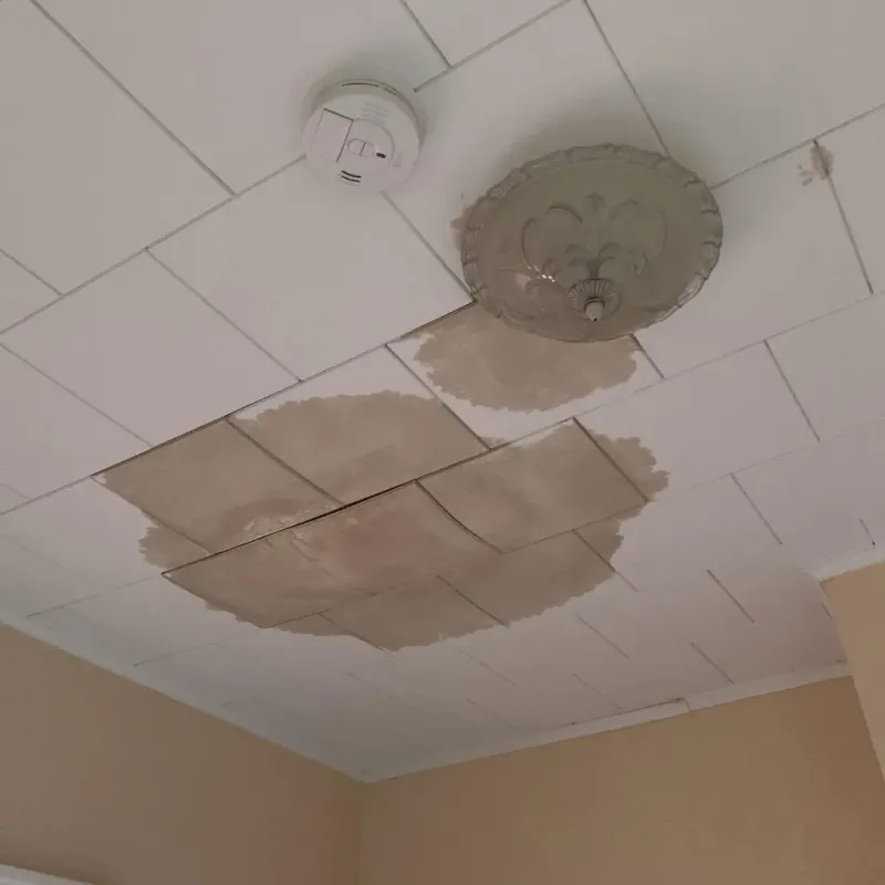 Ceiling Water Damage Repair in Andover, FL